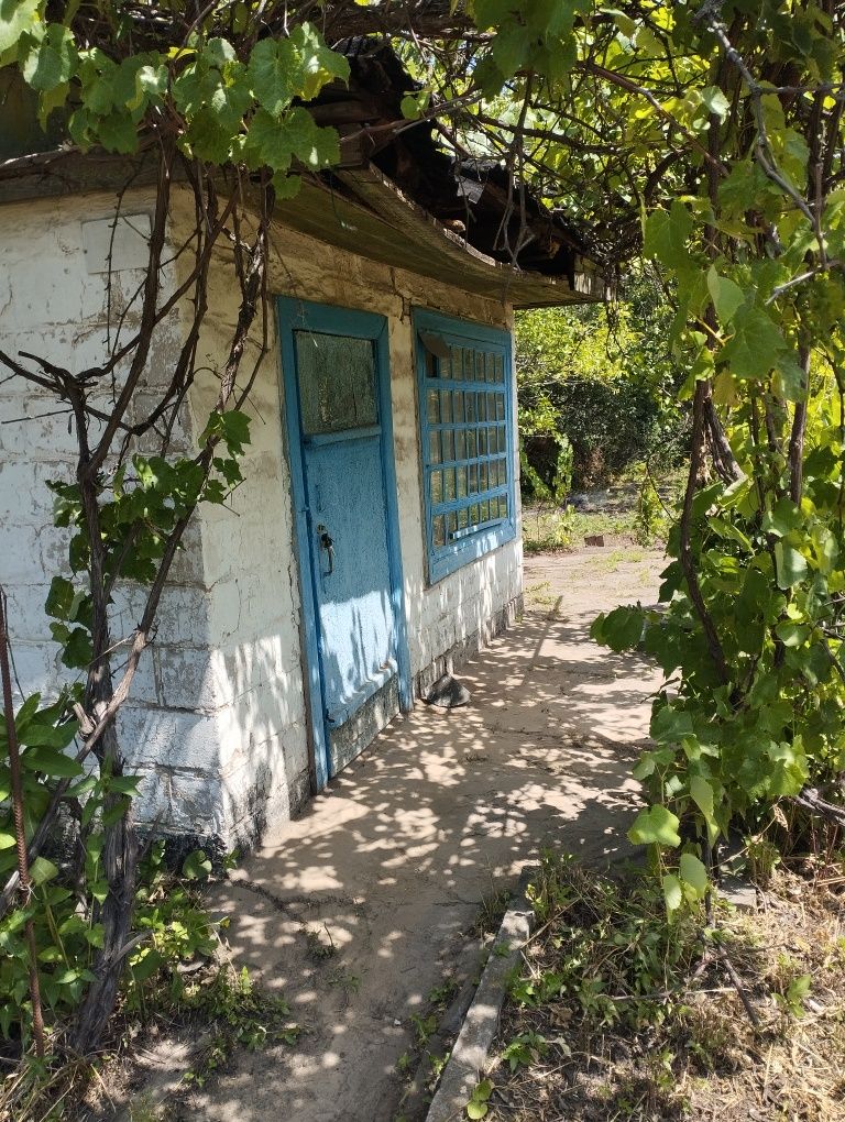 Дача на Верхніх садах