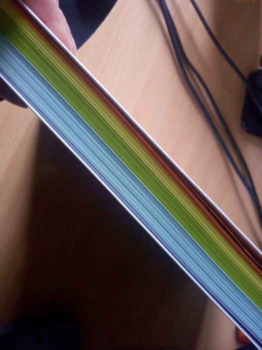 Livro de Universidade ERASMUS