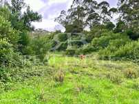 Terreno Rustico 11.640M2 Penedo, Colares, Sintra