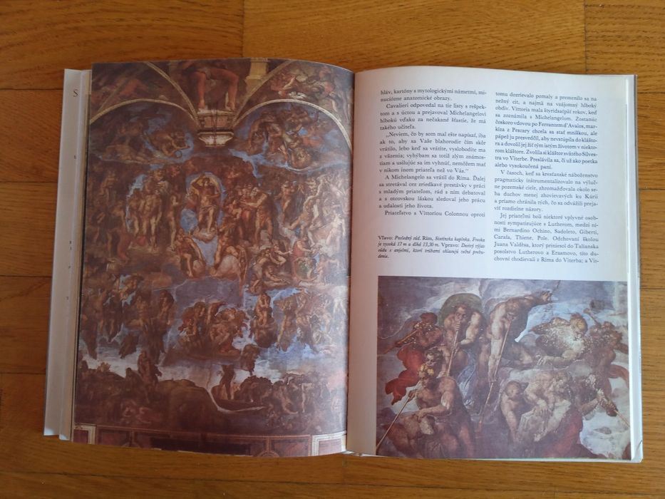 Книга "Встреча с Микеланджело".