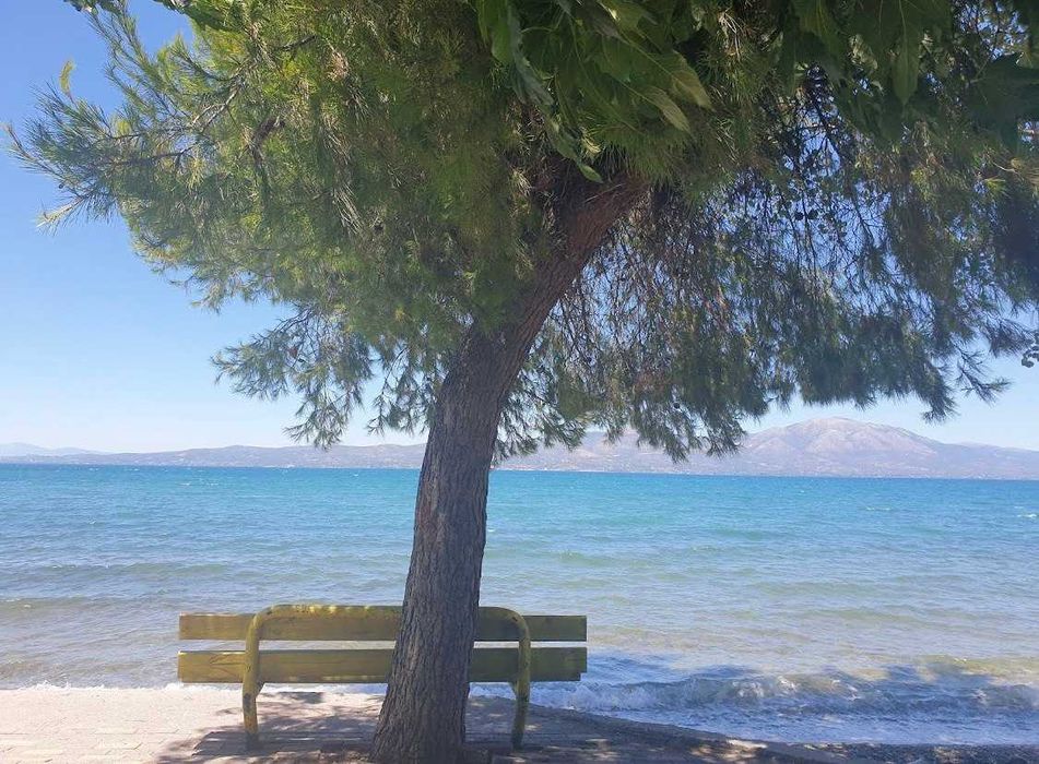 Продаж будинку, Неа Палатіа, Греція