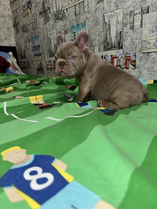 Топ якість хлопчик