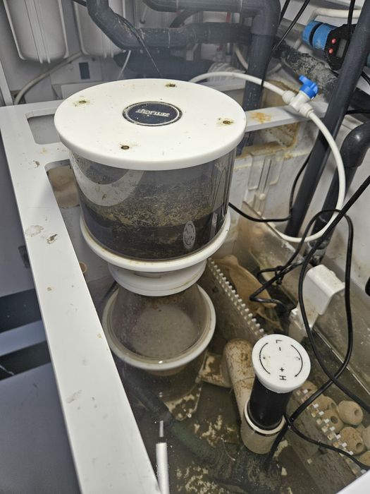 Zestaw w zabudowie - akwarium morskie 250l 100x50x50