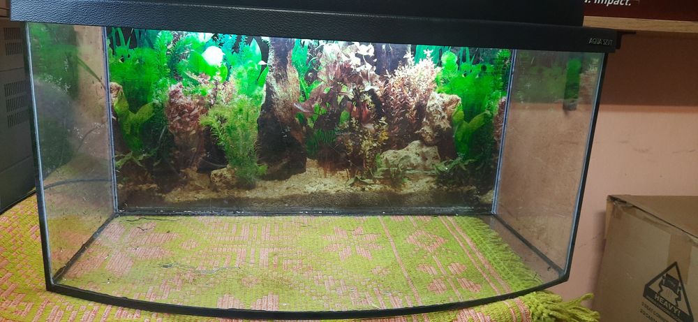 Sprzedam Akwarium, Terarium.