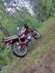 Kingway naked 50