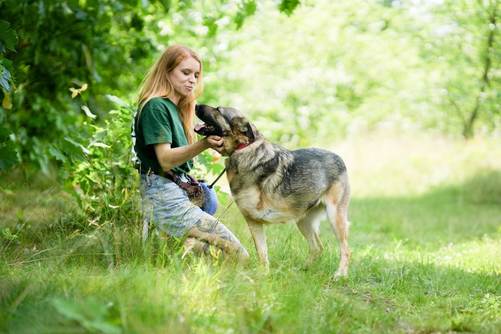 Alinka - psia wojowniczka gotowa na nowy początek. Suczka do adopcji.