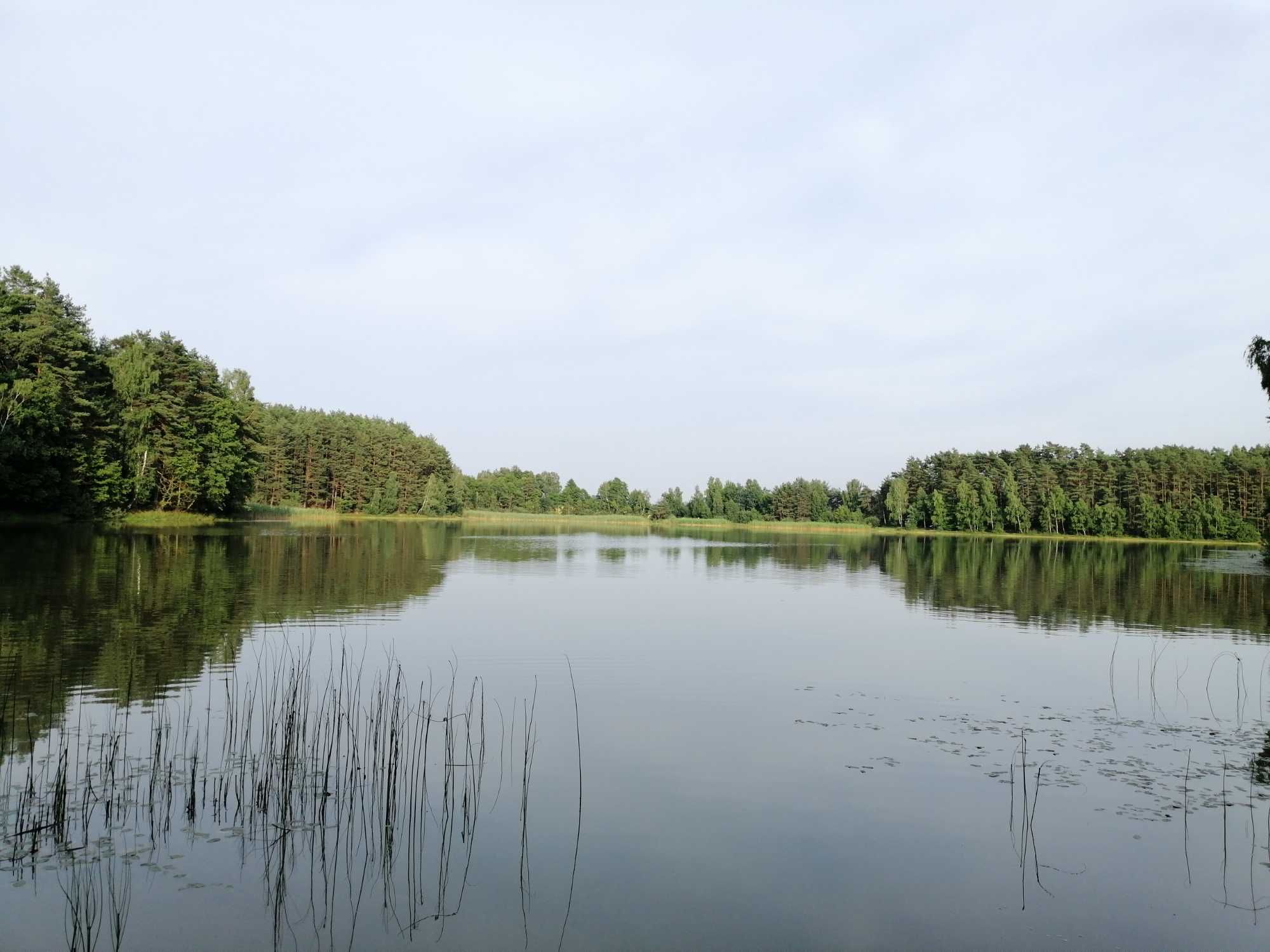 Agroturystyka Czaplinek przy lesie. Kaszuby. Sarnowy. Zaprasza!