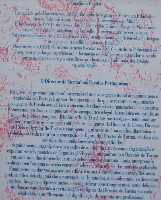 O Director de Turma Nas Escolas Portuguesas