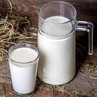 Wiejskie mleko, prosto od krowy