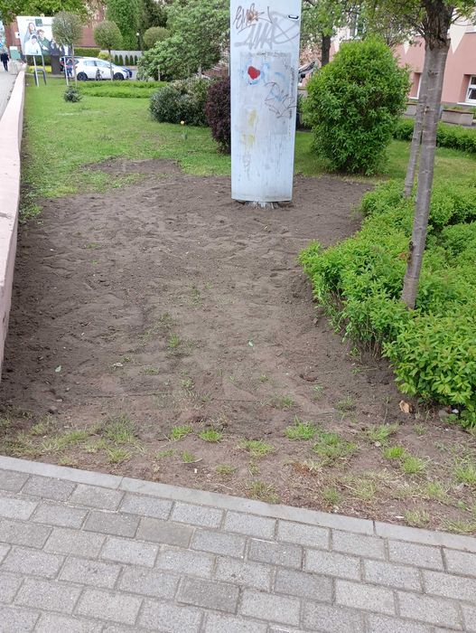 Usługi minikoparka wywrotka 3.5 tony