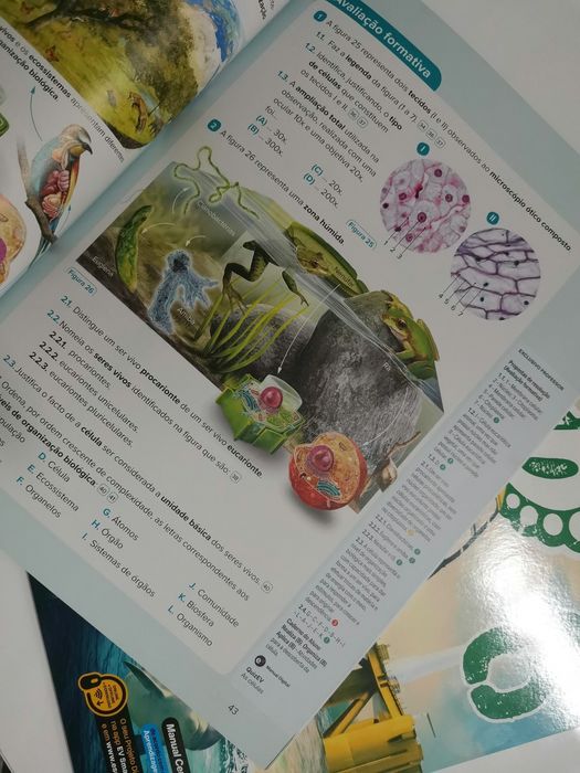 Manual novo de Ciências Naturais do 8 ano - Eco Cientic