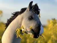 Hobby Horse by keppihevostalli_equestrian