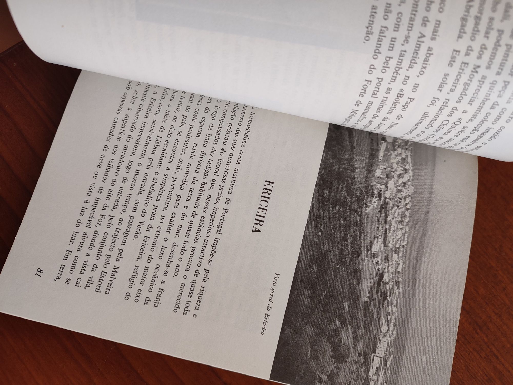 Monografia Mafra