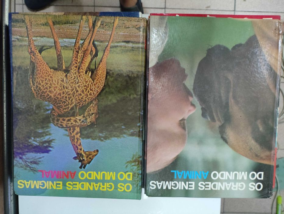 Varios Livros de Enciclopedias Juvenis vintage