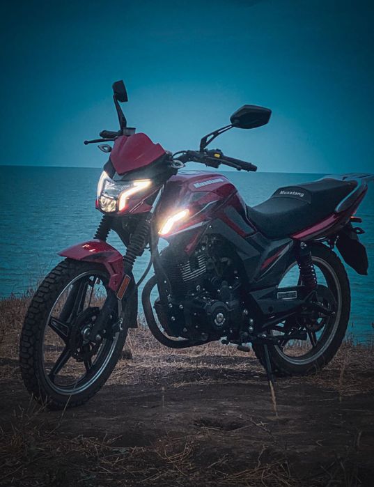 Мустанг Фортуна 200