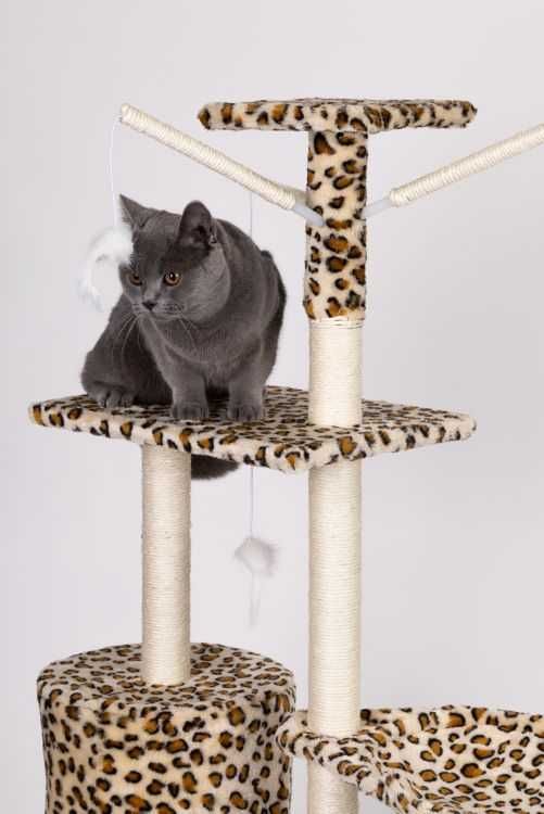 Drapak dla kota Panterka Domek Drzewko Legowisko Duże XXL 138cm