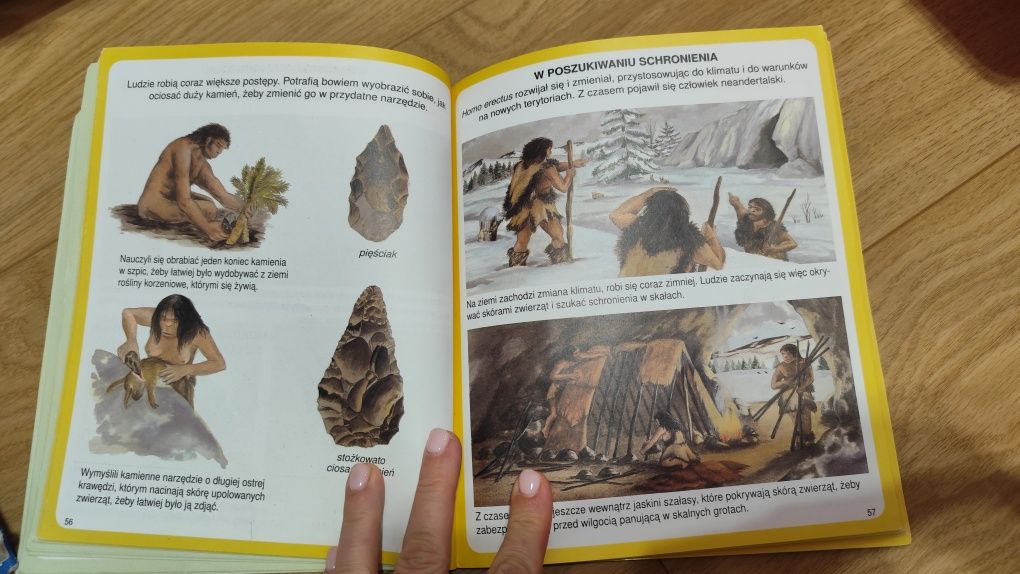 Świat w obrazkach Dinozaury i prehistoria