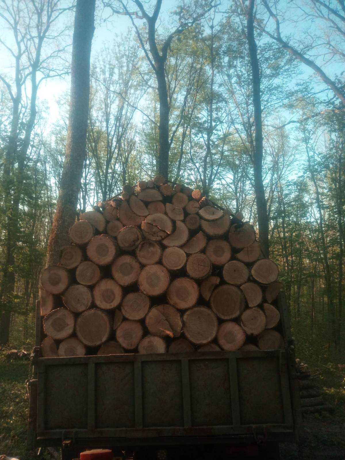 Дрова твердих порід (Дуб, Граб, Ясен) Будь яка кількість