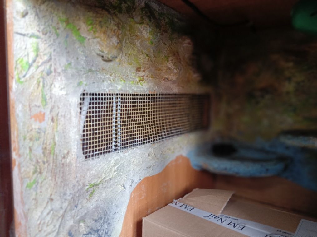 Terarium dla agamy itp