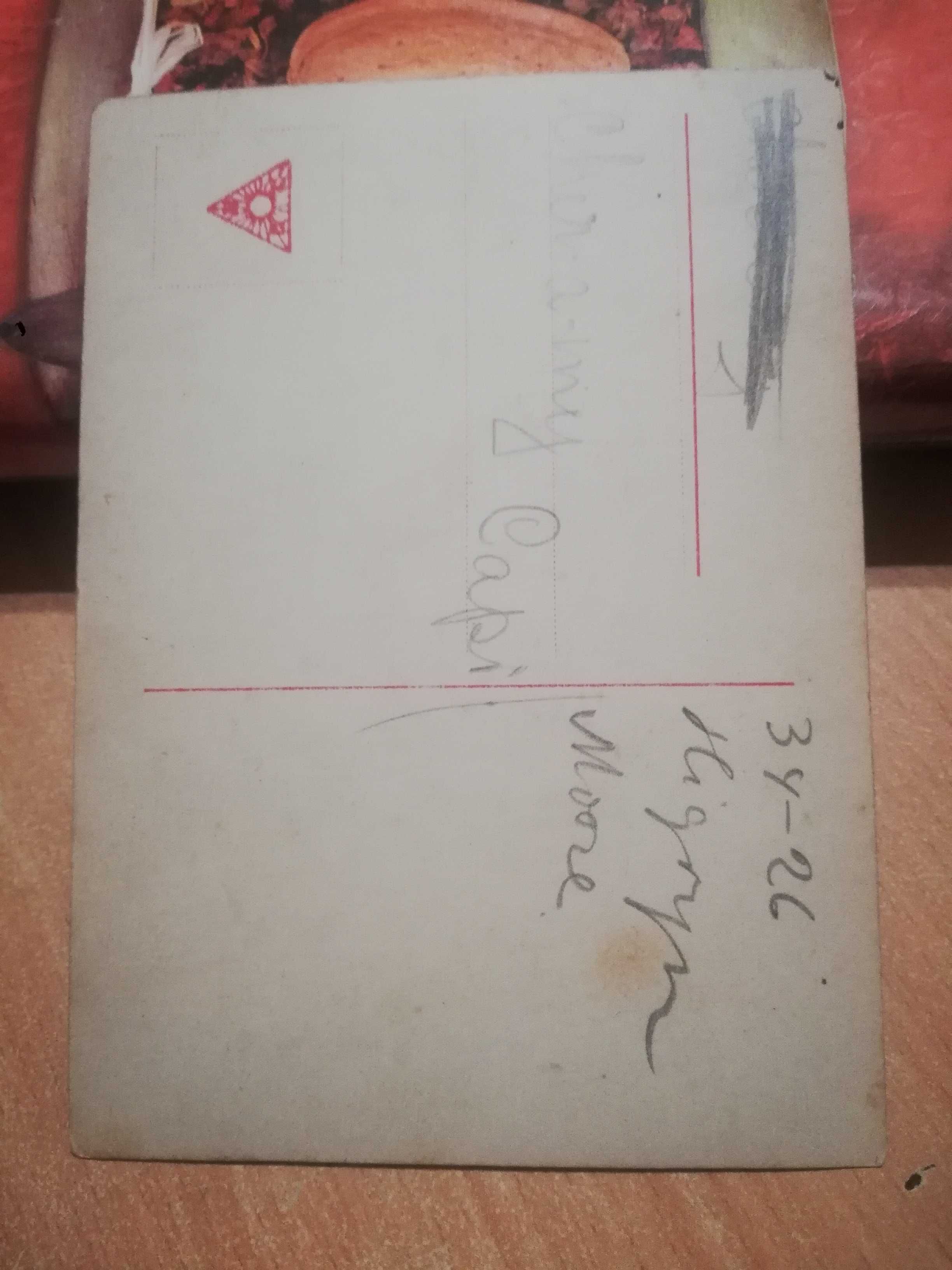 Stara pocztówka widokówka Pola Negri