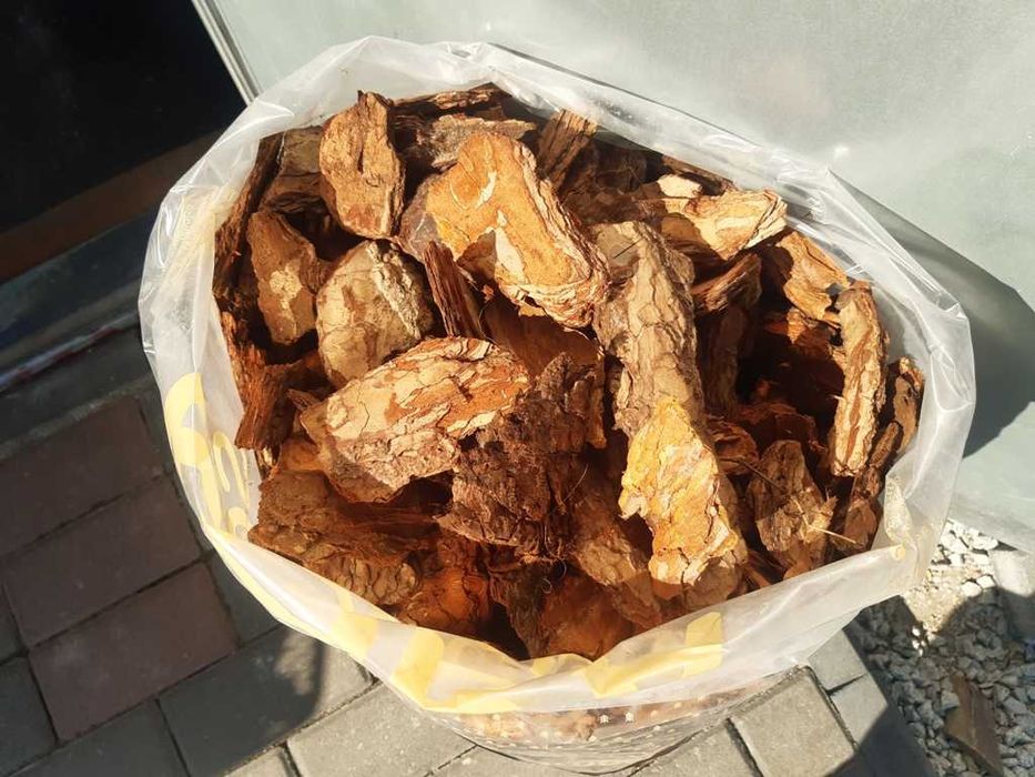 kora sosnowa gruba sortowana Mosina wyprzedaż