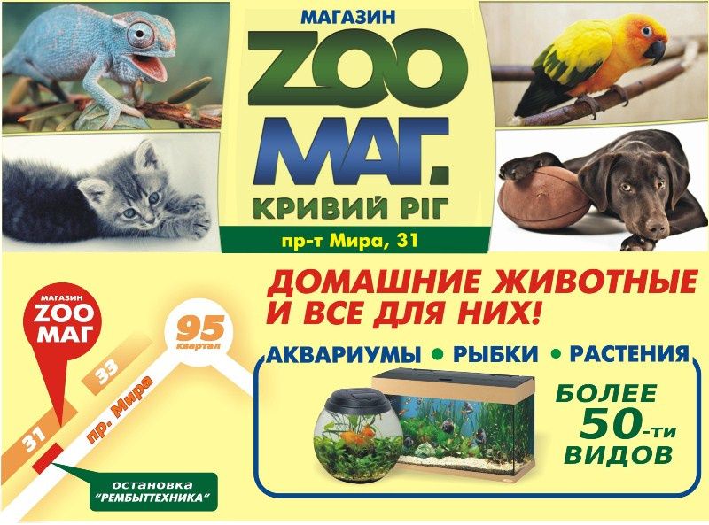 Аквариумные рыбки и аквариумные растения