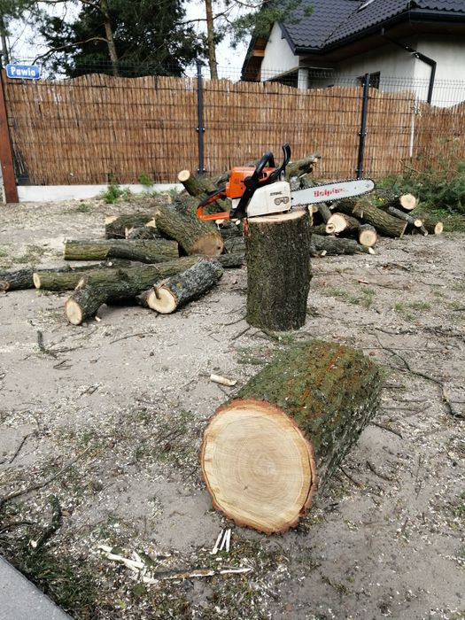 Koszenie traw Wycinka Ogrody czyszczenie działek żywopłoty rębak