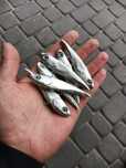 Wobler Cykada Slim SCAR 8cm 14g LUKI LURES Kotwice BKK