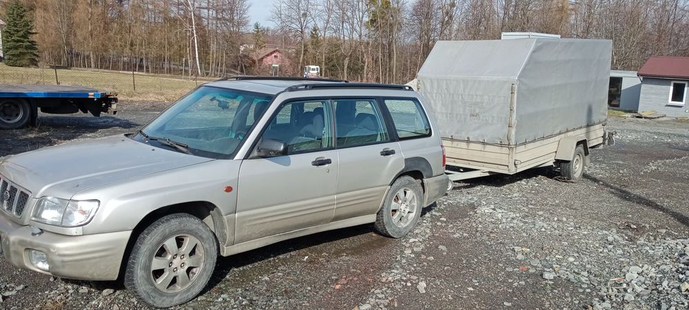 Subaru Forester - wynajem - przyczepa