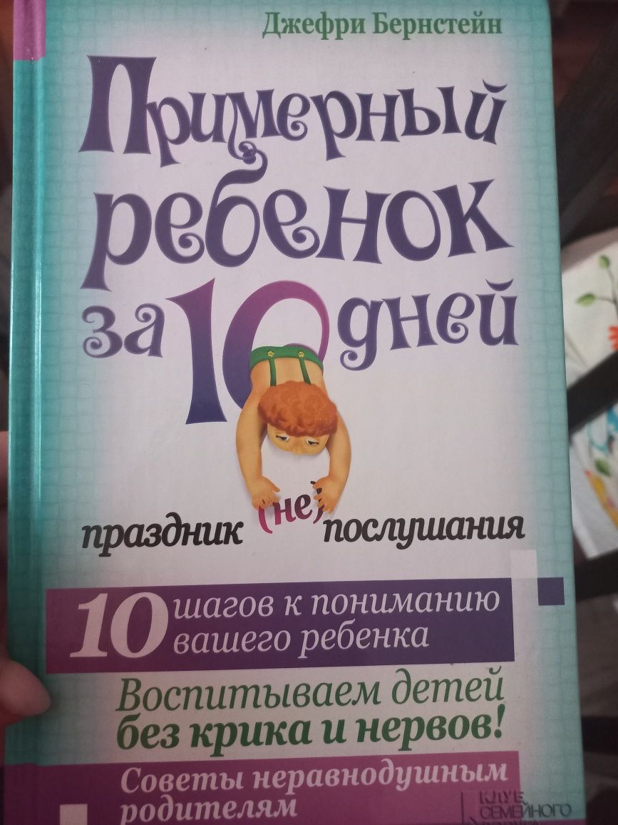 Д. Бернстейн «Примерный ребенок за 10 дней. Праздник (не) послушания