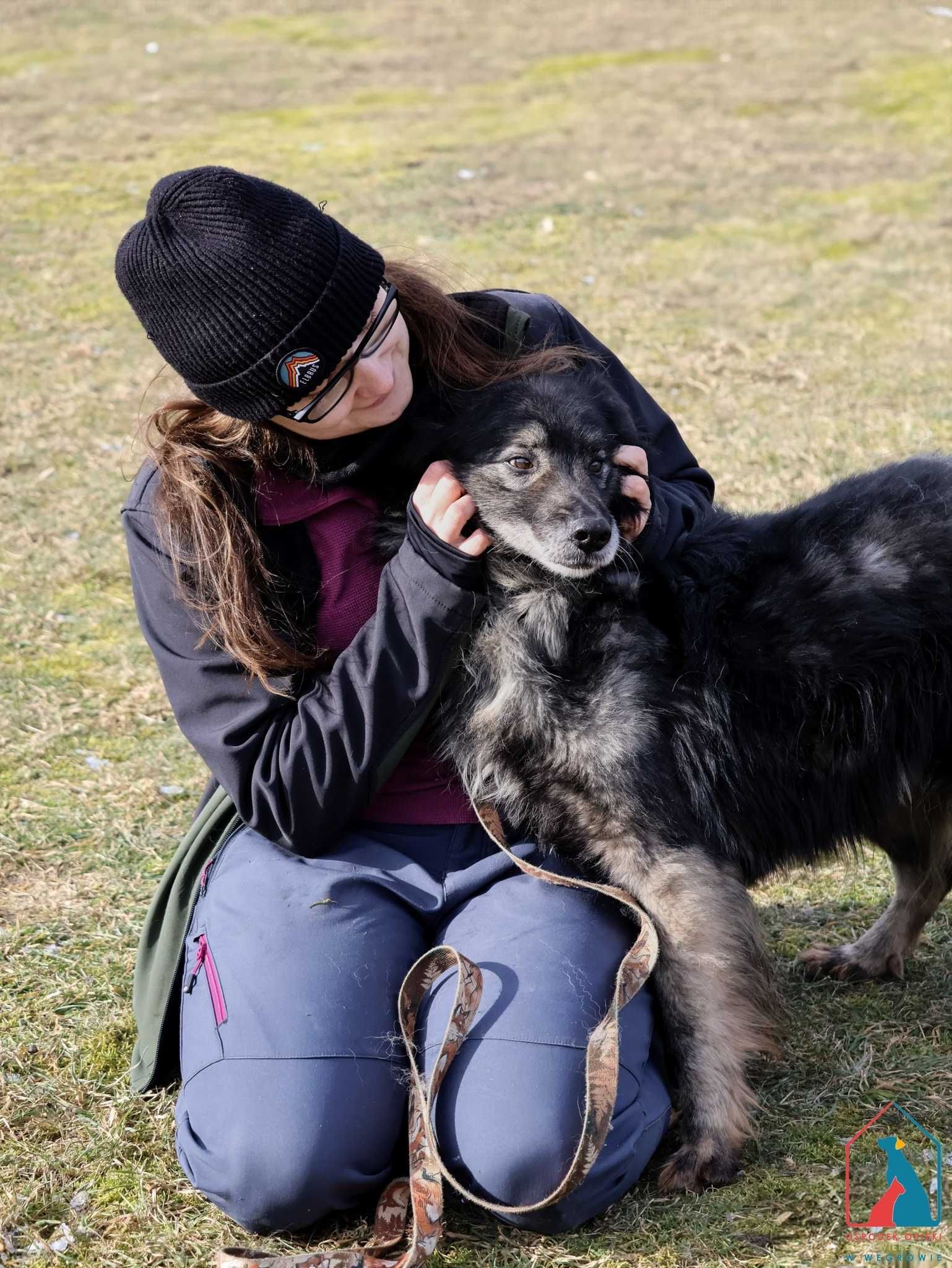 ZA MIŁOŚĆ człowieka odda wszystko - uratuj wspaniałego psa!
