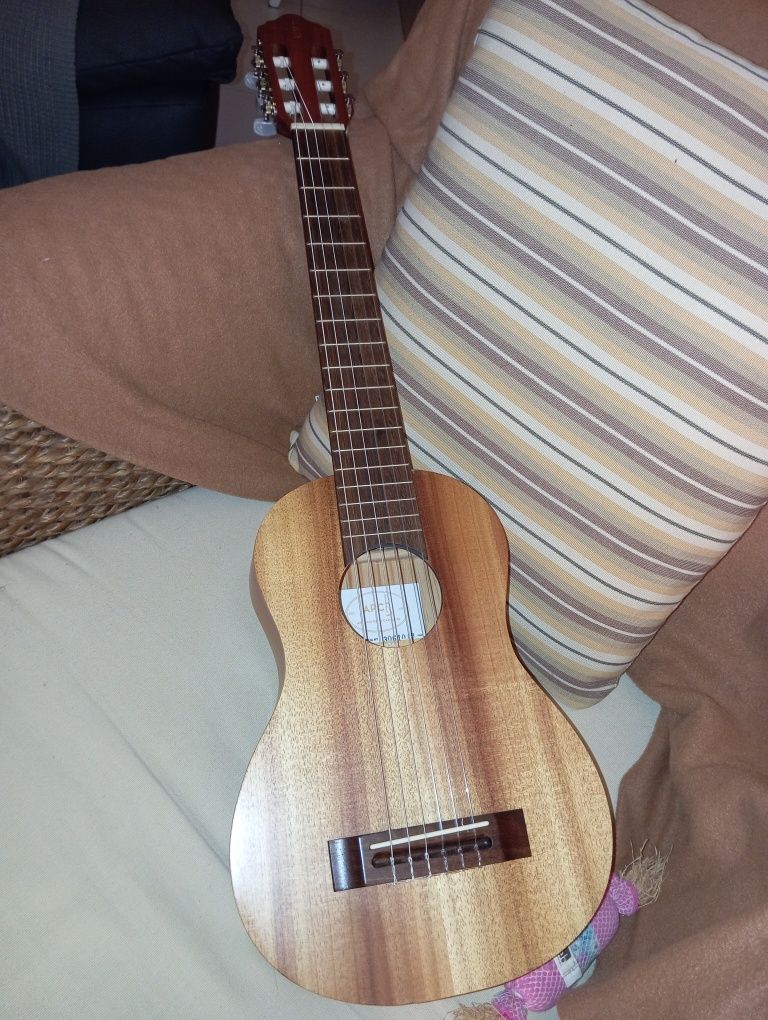 Viola acústica Nova