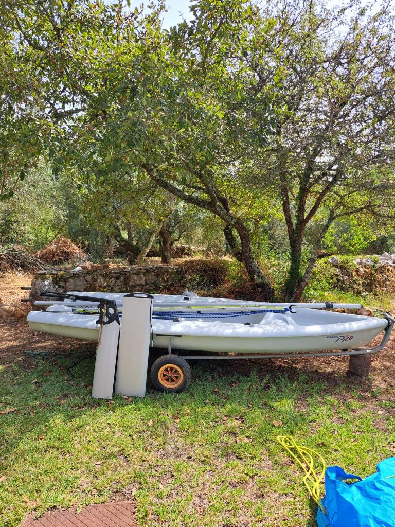Barco vela Laser Pico