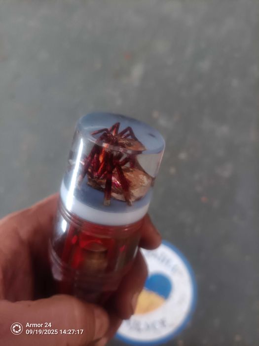 Ручка эксклюзивная на КПП