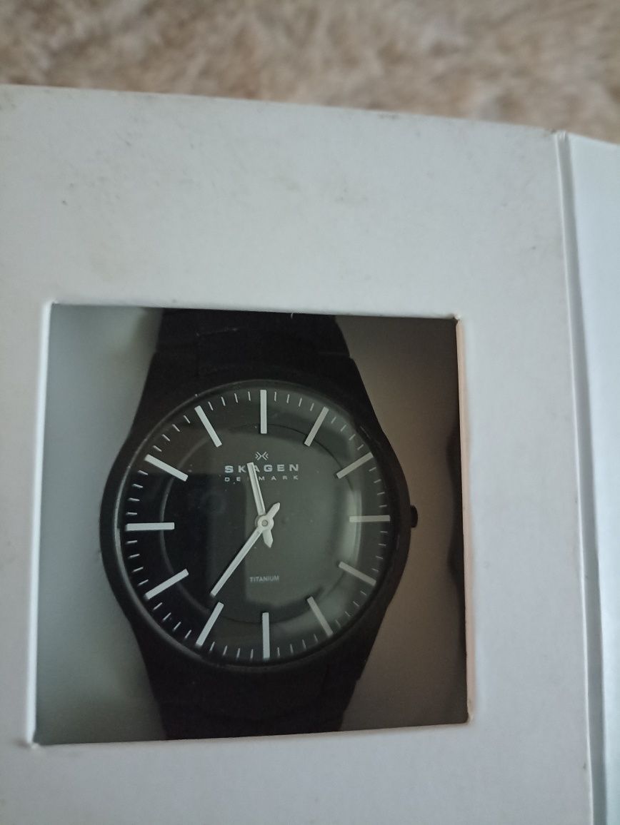 Zegarek skagen titanium