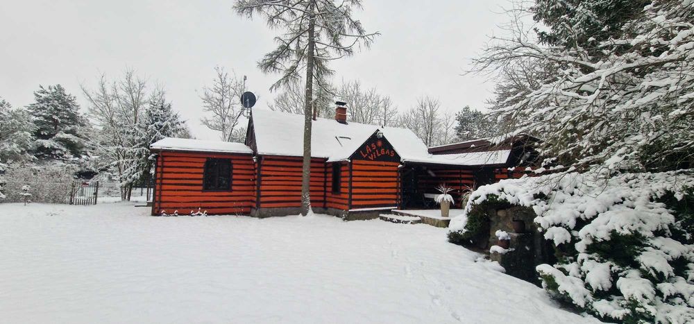 Dom, Villa na Święta lub Sylwester, Ranczo, Rancho, Sauna, Ogród