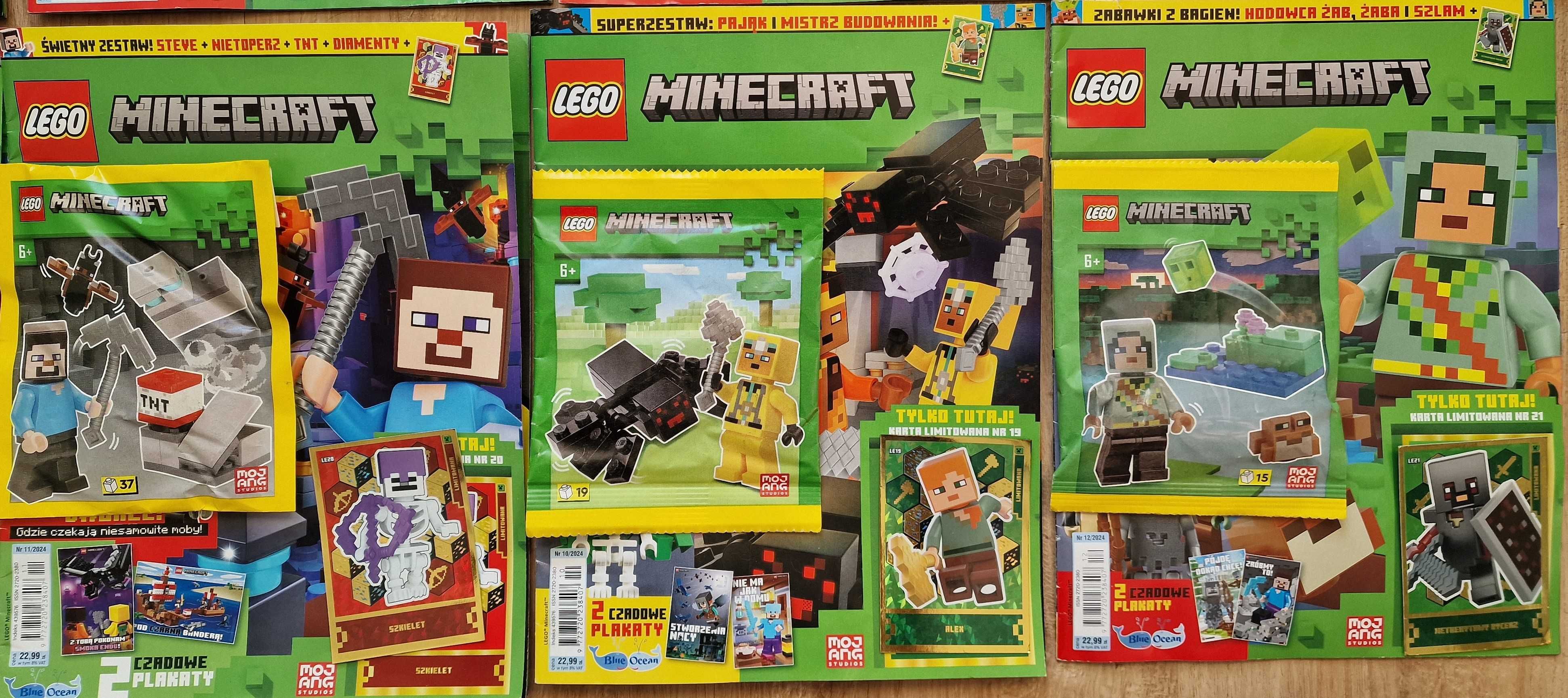 10 X magazyn LEGO MINECRAFT rok 3/4/5/6/7/8/9/10/11/12/2024 + figurki