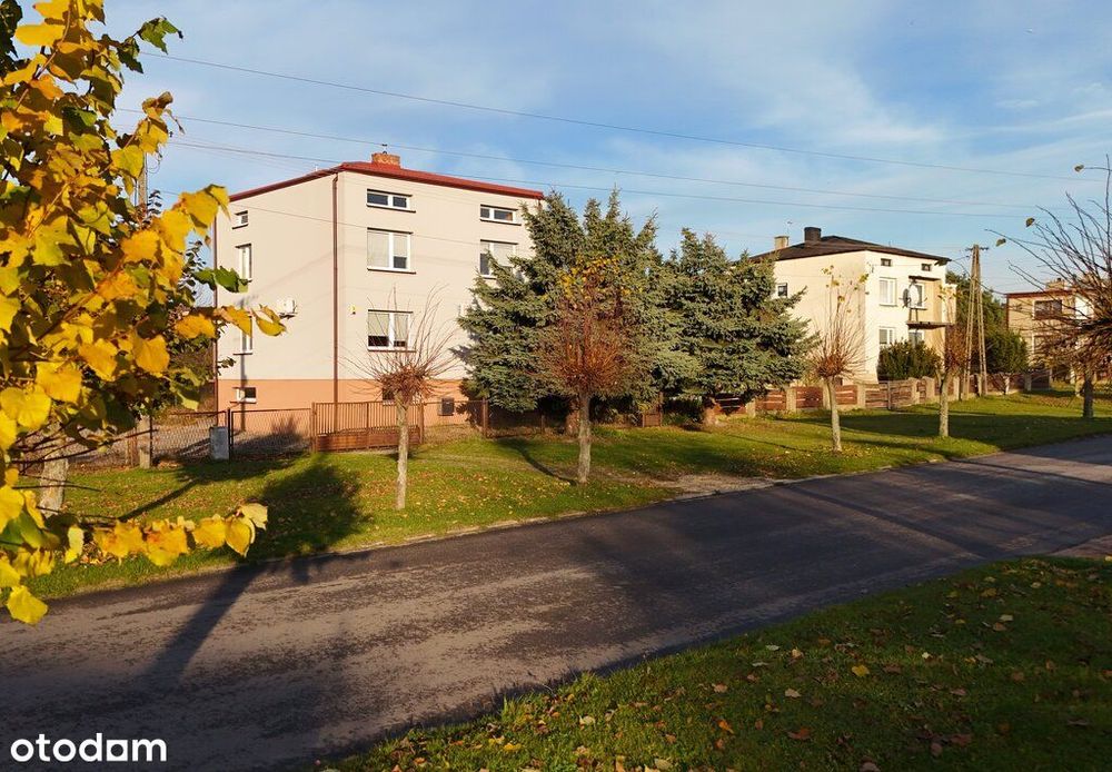 Dom z potencjałem w centrum Działoszyn!