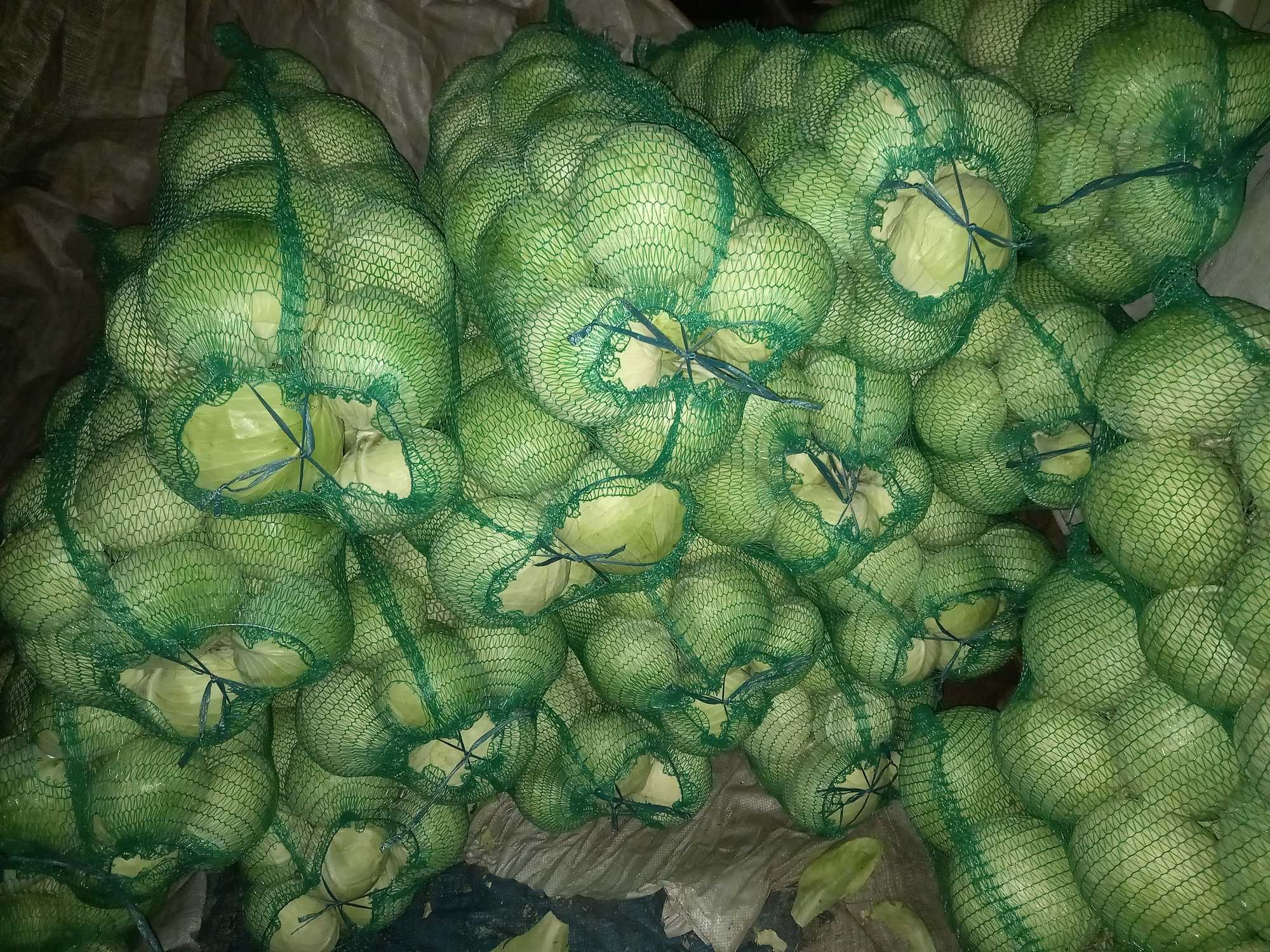 Продається гарна капуста