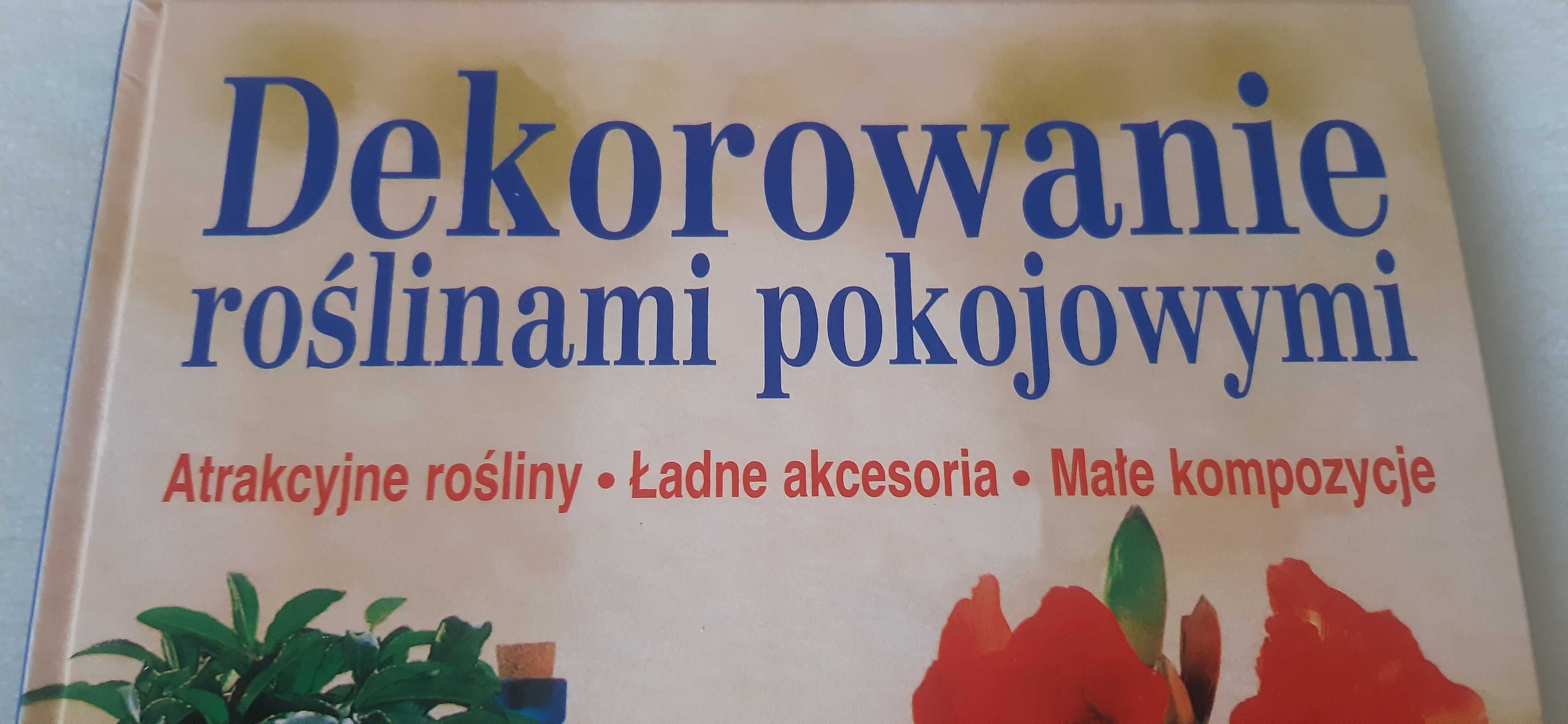 Dekorowanie roślinami pokojowymi