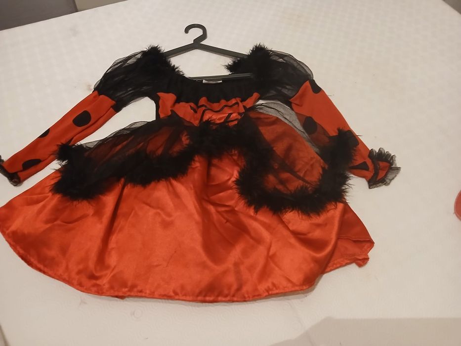 Fantasia Carnaval Joaninha