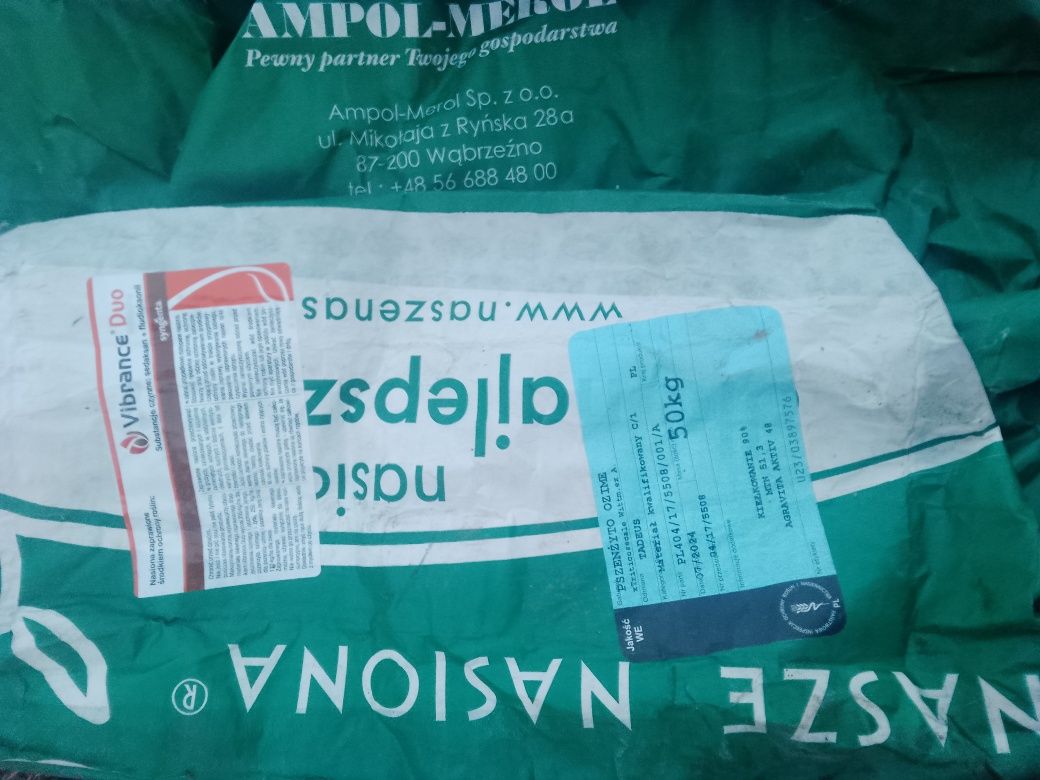 Pszenżyto Tadeus i Borowik C1 Po Centrali