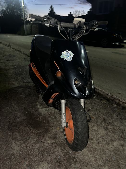 Продам малагути.