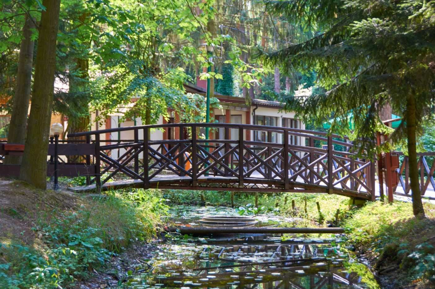 Wyjątkowy domek + jacuzzi, 500m od jeziora (Nowa Jedlanka) JEZIORAKI