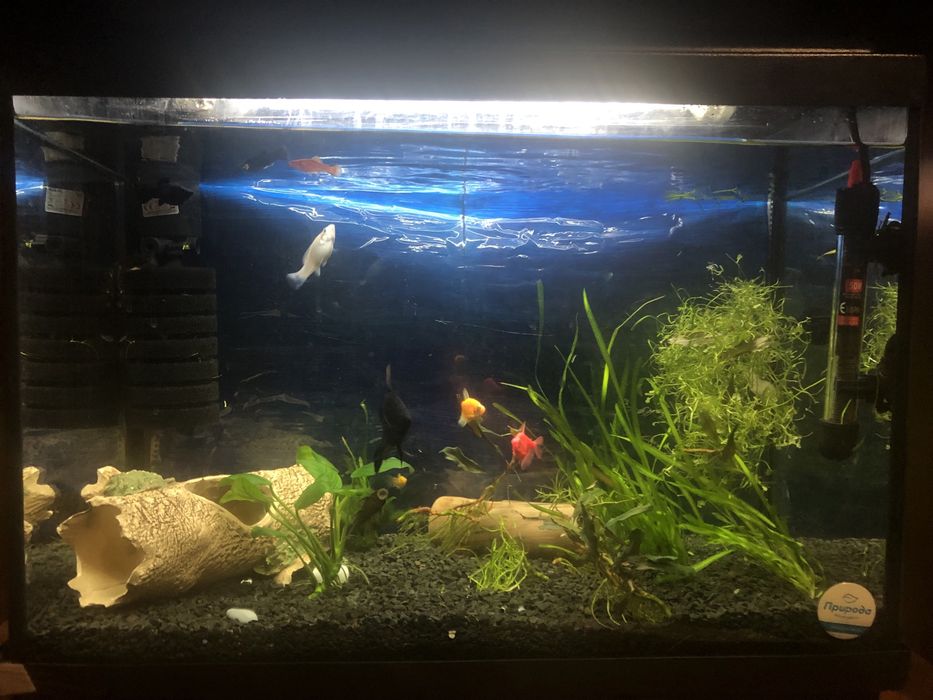 Аквариум 75л продам