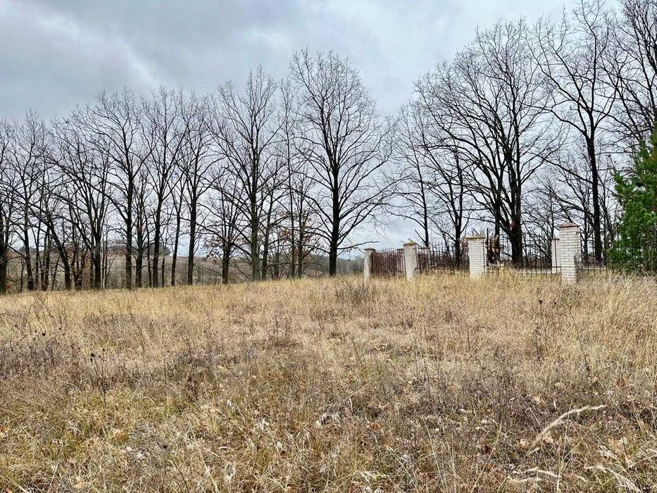 Продаж ділянки під забудову/виноградник Обухівський район В.Дмитровичі