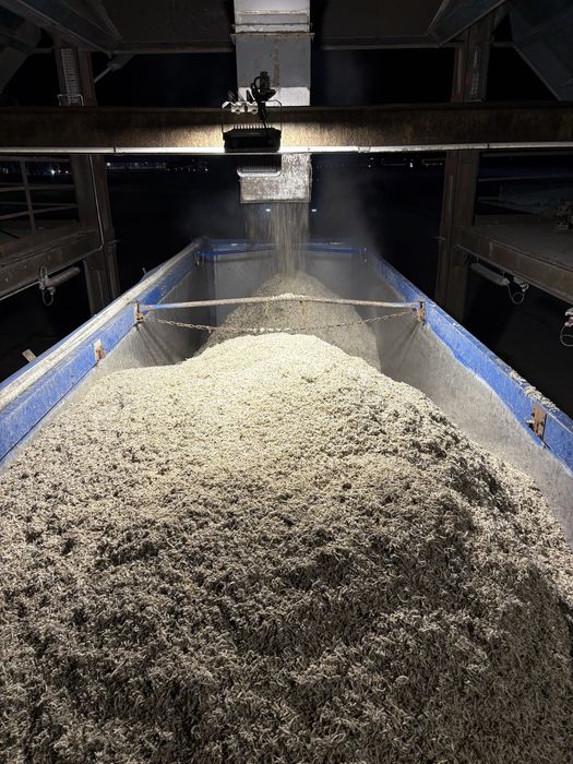 Sprzedam Wyslodki Buraczane !