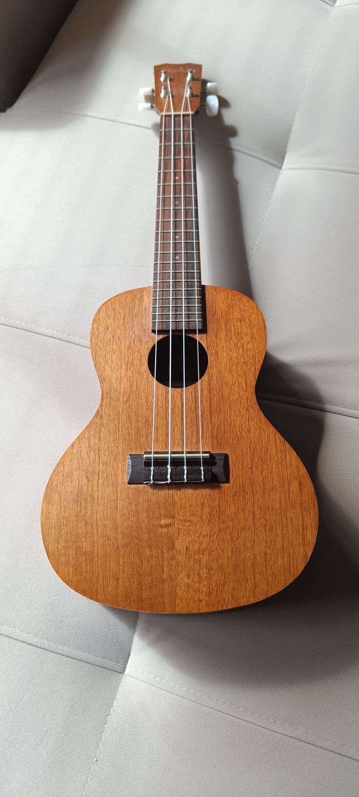 Ukulele cordoba up 100