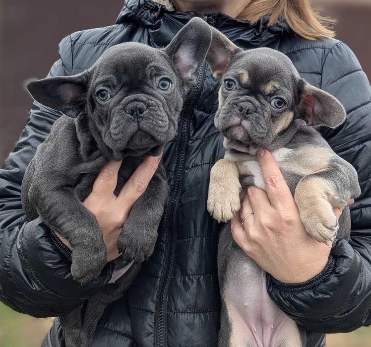 Найкращий подарунок