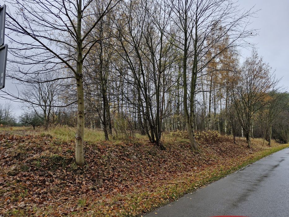 Sprzedam działkę rolno budowlaną Smogorzów